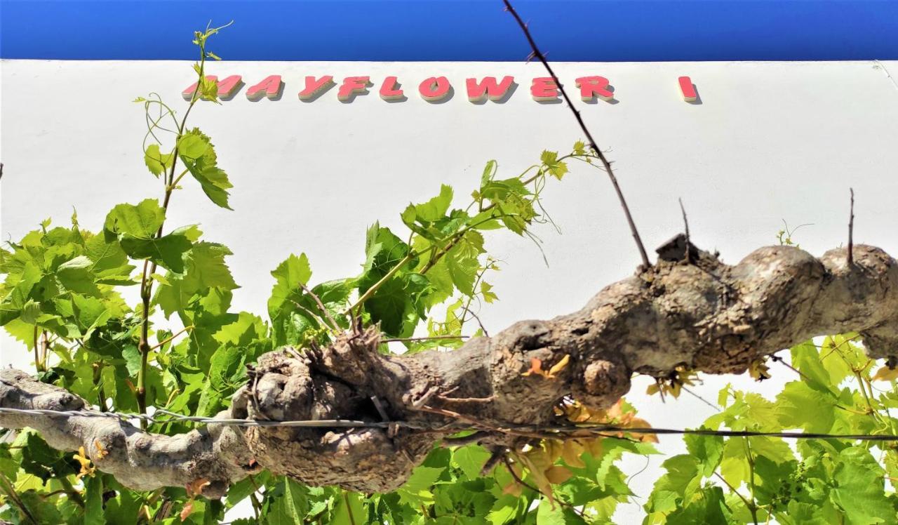 Mayflower 1 Διαμέρισμα Κέφαλος Εξωτερικό φωτογραφία